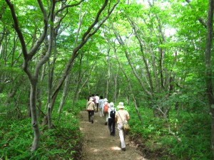 沼ッ原湿原